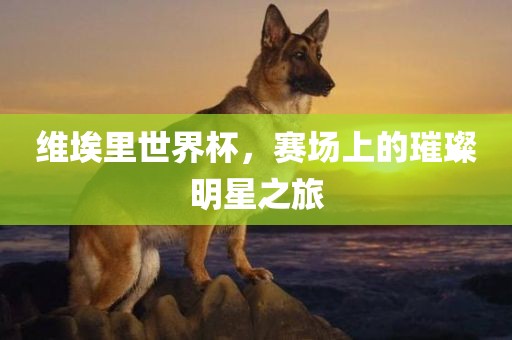 浙江臨平事故最新消息，浙江臨平事故最新進(jìn)展更新重慶水生網(wǎng)生態(tài)農(nóng)業(yè)發(fā)展有限公司